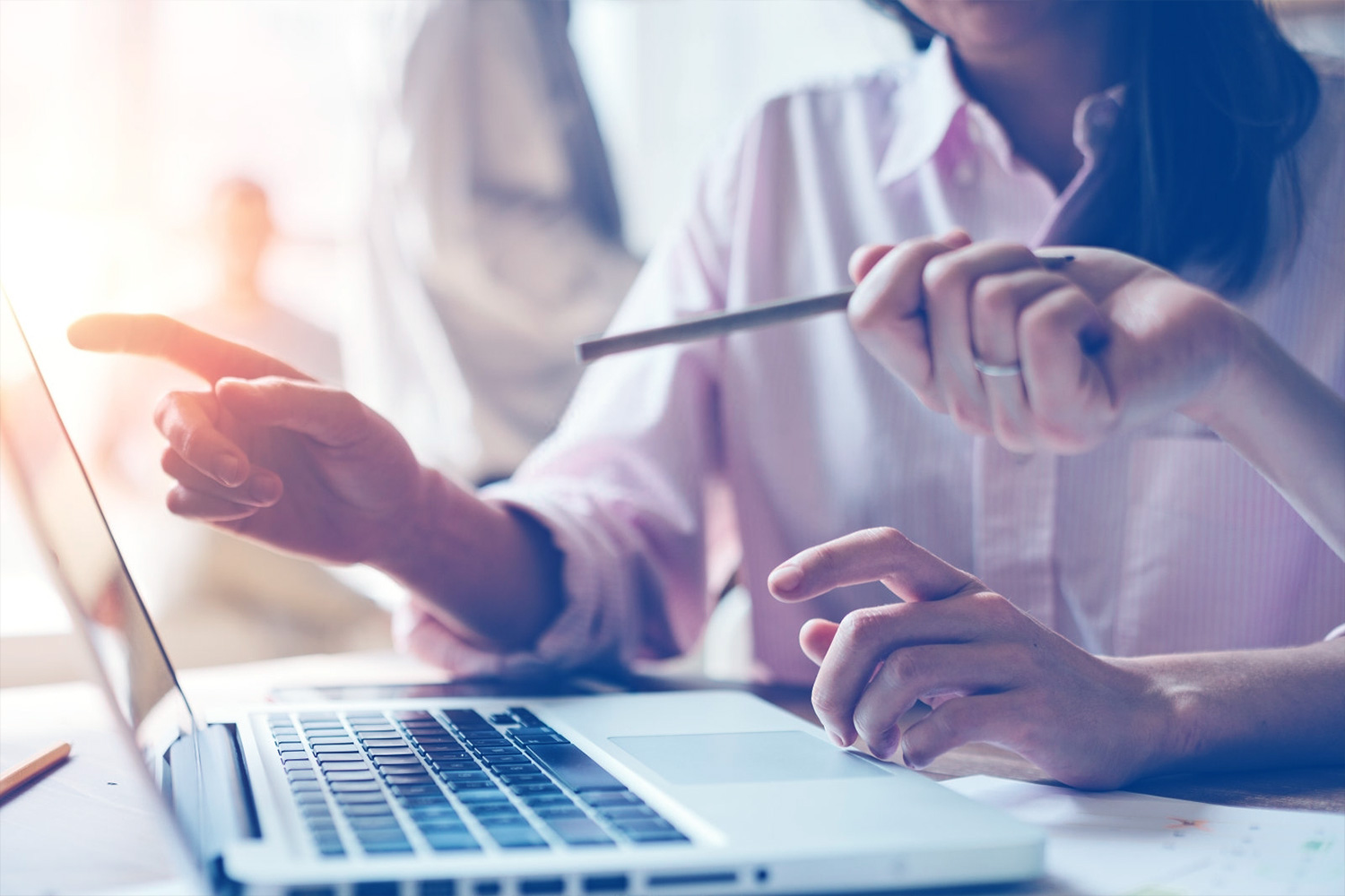 Conheça os serviços que sua empresa terá conosco